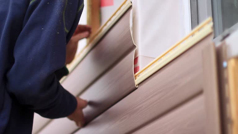 Best Dumpster Rental Services  in Delavan Lake, WI